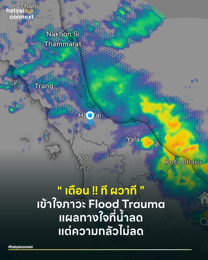 ทำไมแค่เห็นคำว่า 'เตือน' ใจก็สั่น? เข้าใจภาวะ Flood Trauma แผลทางใจที่น้ำลด แต่ความกลัวไม่ลด . ช่วงนี้ท้องฟ้าหาดใหญ่มืดครึ้มอีกครั้ง พร้อมกับข่าวแจ้งเตือนสภาพอากาศช่วงส่งท้ายปีที่เด้งขึ้นมาหน้าฟีดโซเชียลมีเดียถี่ขึ้น หลายคนยอมรับว่าทันทีที่เห็นคำว่า เตือน! - ด่วน! หรือเห็นภาพกราฟิกพายุ หัวใจจะเริ่มเต้นแรง มือเย็น หรือรู้สึกหวิวๆ ในท้อง ทั้งที่น้ำยังไม่ทันมา . ก่อนที่จะโทษตัวเองว่า "คิดมากไปหรือเปล่า" หรือ "ขี้ขลาดเกินไปไหม" อยากให้รู้ว่าในทางวิทยาศาสตร์และการแพทย์ อาการที่เป็นอยู่ คือเรื่องปกติของมนุษย์ที่ผ่านภัยพิบัติมา มันมีชื่อเรียกทางจิตวิทยา และมีคำอธิบายทางสมองรองรับชัดเจน . เมื่อร่างกายจดจำความเจ็บปวด ในทางจิตวิทยาเรียกภาวะนี้ว่า Natural Disaster Trauma หรือความบอบช้ำทางใจจากภัยพิบัติ งานวิจัยจาก University of York และ National Centre for Social Research (UK) พบว่าผู้ประสบภัยน้ำท่วมมีความเสี่ยงที่จะเกิดภาวะเครียด วิตกกังวล และ PTSD สูงกว่าคนทั่วไปถึง 9 เท่า แม้เหตุการณ์จะผ่านไปแล้วหลายปี . #เกิดอะไรขึ้นในสมองคนหาดใหญ่ ปกติสมองส่วนหน้า (Prefrontal Cortex) จะทำหน้าที่คิดวิเคราะห์ด้วยเหตุผล แต่เมื่อเราเคยผ่านเหตุการณ์เฉียดตายหรือสูญเสียจากน้ำท่วม สมองส่วน อมิกดาล (Amygdala) ซึ่งเป็นศูนย์ควบคุมความกลัว จะทำหน้าที่เหมือนเครื่องตรวจจับควันที่ไวเกินเหตุ . ทันทีที่เห็นคำว่า "ท่วม" หรือได้ยินเสียงฝนตกหนัก (Trigger) อมิกดาลาจะสั่งการทันทีว่า 'อันตราย' โดยไม่รอให้สมองส่วนเหตุผลตรวจสอบข้อมูลว่าจริงหรือไม่ ผลคือร่างกายจะหลั่งฮอร์โมนความเครียดออกมาทันที ทำให้เราแพนิค นอนไม่หลับ และอ่อนไหวง่าย . #กับดักของคำเตือน ในยุคโซเชียลมีเดีย การพาดหัวข่าวที่ใช้คำกระตุ้นอารมณ์ เช่น "หาดใหญ่จมแน่" "ระวังท่วมหนัก" หรือการใช้เครื่องหมายตกใจเยอะๆ (!!!!!!) เปรียบเสมือนการส่งสัญญาณไปกระตุ้นอมิกดาลาซ้ำๆ . เมื่อสมองถูกกระตุ้นให้ตื่นตระหนกบ่อยๆ แต่ภัยไม่ได้เกิดขึ้นจริง (หรือเกิดขึ้นน้อยกว่าที่คิด) จะเกิดภาวะ "ความเหนื่อยล้าจากการตื่นตัว" (Alert Fatigue) ทำให้เราเครียดสะสมโดยไม่รู้ตัว และที่แย่กว่านั้นคือ เมื่อถึงเวลาที่ภัยมาจริงๆ เราอาจจะหมดแรง หรือเลือกที่จะเพิกเฉยเพราะคิดว่าเป็นข่าวลวงอีกเหมือนเคย . วิธีรับมือต้องเปลี่ยนจาก 'ตระหนก' เป็น 'ตระหนัก' เราห้ามฝนตกไม่ได้ และห้ามพาดหัวข่าวไม่ได้ แต่เราฝึกสมองให้รับมือได้ เพื่อให้ช่วงสิ้นปีนี้ผ่านไปอย่างราบรื่น วิธีคือ . 1. จำกัดวงข้อมูล ในช่วงที่จิตใจอ่อนไหว ให้เลือกติดตามข่าวจาก Official Source หรือแหล่งข้อมูลทางการแค่ 1-2 แหล่งเท่านั้น เช่น เพจเทศบาลนครหาดใหญ่ (ซึ่งปัจจุบันมีการปรับปรุงระบบการสื่อสารให้รวดเร็ว แม่นยำ และชัดเจนขึ้นกว่าเดิมพอสมควร) เว็บไซต์ Hat Yai City Climate ประกาศจากกรมอุตุนิยมวิทยา หรือเช็กแนวโน้มฝนด้วยตัวเองผ่านแอปพลิเคชัน Windy เพื่อเห็นภาพรวม เลี่ยงการเสพข่าวลือหรืออ่านคอมเมนต์ที่คาดเดากันเองจนเกินพอดี . 2. ตรวจสอบก่อนเชื่อ เมื่อเห็นโพสต์ที่ทำให้ตกใจ ให้ถามตัวเองก่อนว่า ใครเป็นคนโพสต์? มีข้อมูลอ้างอิงไหม? หรือ "เป็นภาพเก่าเล่าใหม่หรือเปล่า? การดึงสติกลับมาเช็คข้อมูล จะช่วยเรียกสมองส่วนเหตุผลให้กลับมาทำงาน และลดความทำงานของต่อมความกลัวลง . 3. เปลี่ยนความกังวลเป็นการลงมือทำ ถ้ากังวลมากให้นำพลังงานนั้นไปใช้ในการเตรียมพร้อม เช่น ยกของขึ้นที่สูง จัดกระเป๋าฉุกเฉิน หรือเช็คสภาพรถ การได้ลงมือทำอะไรบางอย่างจะทำให้สมองรู้สึกว่า เราควบคุมสถานการณ์ได้ (Sense of Control) และความเครียดจะลดลง . ความกลัวไม่ใช่ศัตรู แต่เป็นสัญญาณเตือนให้เรารอดชีวิต การที่รู้สึกกลัว แปลว่าสัญชาตญาณความปลอดภัยยังทำงานได้ดีเยี่ยม เพียงแต่เราต้องเรียนรู้ที่จะอยู่กับมันอย่างสมดุล ติดตามข่าวสารอย่างใกล้ชิด แต่ไม่ต้องเกาะติดจนเสียสุขภาพจิต ให้โอกาสตัวเองได้พักหายใจ และเชื่อมั่นว่า ไม่ว่าฝนจะตกหนักแค่ไหน เราได้เตรียมพร้อมรับมือไว้อย่างดีที่สุดแล้ว ด้วยความห่วงใยและเข้าใจ จากเพื่อนชาวหาดใหญ่ด้วยกัน . อ้างอิง - Graham, H., et al. (2019). The mental health impacts of flooding: a systematic review. University of York / National Centre for Social Research. - Van der Kolk, B. (2014). The Body Keeps the Score: Brain, Mind, and Body in the Healing of Trauma. - American Psychological Association (APA). (n.d.). Managing traumatic stress: After a natural disaster __ #HeartYaiComeback #HugHeartYai #CurioCity #HatyaiConnexthatyaiconnext