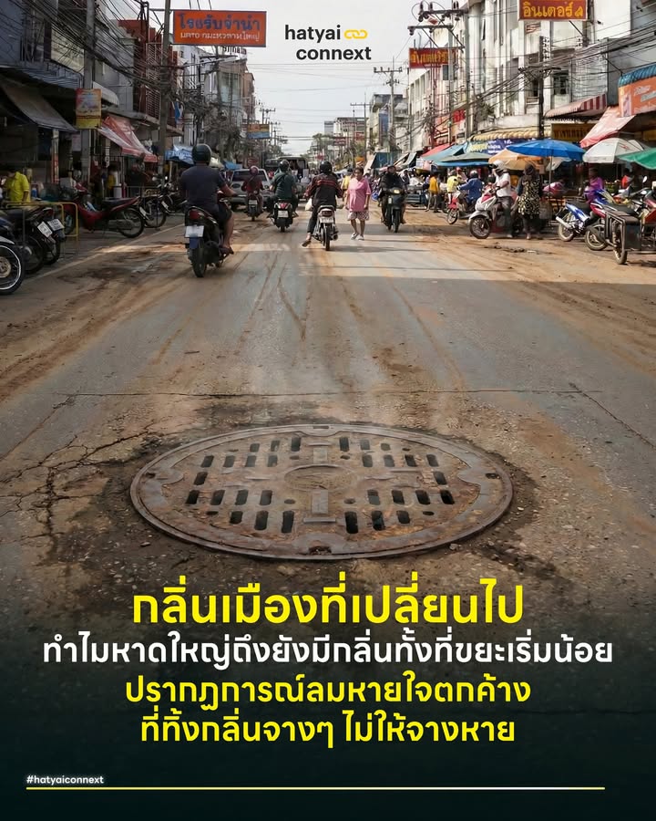 กลิ่นเมืองที่เปลี่ยนไป ทำไมหาดใหญ่ถึงยังมีกลิ่นทั้งที่ขยะเริ่มน้อย ปรากฏการณ์ 'ลมหายใจตกค้าง' ที่ทิ้งกลิ่นจางๆ ไม่ให้จางหาย . ช่วงนี้หลายคนอาจรู้สึกเหมือนกันแบบไม่ทันสังเกต แม้กองขยะใหญ่ๆ หน้าปากซอยจะถูกเก็บไปหมดแล้ว ถนนหนทางดูสะอาดตาขึ้น แต่ในบางจังหวะของวัน โดยเฉพาะตอนลมพัดวูบมา หรือช่วงหัวค่ำ จะมีกลิ่นแปลกๆ ลอยมาเตะจมูก เป็นกลิ่นที่อธิบายยาก ไม่ใช่เหม็นเน่ารุนแรงเหมือนช่วงแรก แต่เป็นกลิ่นตุๆ เอียนๆ อับๆ เหมือนกลิ่นดินผสมสารเคมีจางๆ . อาการนี้ไม่ใช่เราคิดไปเอง แต่มันคือปรากฏการณ์ทางวิทยาศาสตร์ที่เรียกว่า Post-Flood Odor หรือ 'กลิ่นตกค้างหลังน้ำลด' ซึ่งไม่ได้มาจากขยะบนดิน แต่มาจาก 2 สาเหตุหลักที่ซ่อนอยู่และมองไม่เห็นด้วยตาเปล่า . #กลิ่นปริศนามาจากไหน ปรากฏการณ์ MVOCs (Microbial Volatile Organic Compounds) เรียกง่ายๆ ว่า 'กลิ่นลมหายใจของเชื้อรา' แม้เราจะล้างพื้นผิวจนสะอาด แต่ความชื้นมหาศาลยังฝังลึกอยู่ในรูพรุนของเมือง ทั้งในผนังปูน ใต้อิฐตัวหนอน หรือเนื้อไม้ เมื่อเชื้อราและแบคทีเรียที่ซ่อนอยู่เติบโต มันจะปล่อยก๊าซระเหยออกมา เป็นกลิ่นอับชื้นเฉพาะตัวที่ลอยฟุ้งอยู่ในอากาศ . อีกส่วนคือระเบิดเวลาในท่อระบายน้ำ ถนนแห้งแล้ว แต่ในท่อยังไม่แห้ง โคลนเลนจำนวนมหาศาลที่ถูกกวาดลงท่อไป กำลังเกิดการย่อยสลายแบบไม่ใช้ออกซิเจน (Anaerobic Digestion) อยู่เงียบๆ ใต้เท้าเรา กระบวนการนี้ผลิตก๊าซไฮโดรเจนซัลไฟด์หรือก๊าซไข่เน่าจางๆ สะสมไว้ พอลมตีกลับหรือความกดอากาศเปลี่ยน กลิ่นพวกนี้ก็จะดันตัวขึ้นมาตามฝาท่อ . #ต้องทนอีกนานแค่ไหน โดยปกติกลิ่นตกค้างแบบนี้ จะอยู่กับเมืองไปอีกประมาณ 1 ถึง 3 เดือน ไม่ได้หายไปทันที ขึ้นอยู่กับปัจจัยหลักที่จะช่วยเร่งให้กลิ่นจางลง . เริ่มจาก 'แดด' ซึ่งเป็นตัวแปรสำคัญที่สุด รังสี UV จะช่วยฆ่าเชื้อราที่ผิวดินและเร่งให้ความชื้นระเหย ยิ่งแดดจัด กลิ่นยิ่งหายไว ต่อมาคือ 'ลม' ถ้าลมพัดดี อากาศถ่ายเท ก๊าซที่สะสมในจุดอับจะถูกเจือจางได้เร็ว ส่วนปัจจัยสุดท้ายคือ 'ฝน' ที่เปรียบเสมือนดาบสองคม แม้ฝนช่วยชะล้างฝุ่นพิษได้ แต่ก็เติมความชื้นกลับเข้าไปในระบบ ทำให้เชื้อราเติบโตต่อได้อีก . #ภารกิจไล่กลิ่นฉบับรัฐและเรา เพื่อให้เมืองกลับมมากลิ่นดีหรืออย่างน้อยก็ไม่มีกลิ่นเหมือนเดิม ต้องอาศัยการทำงานสองประสาน ระหว่างมาตรการเชิงรุกของเทศบาลกับวิธีรับมือฉบับคนธรรมดา . หน้าที่หลักของเทศบาล การฉีดล้างถนนแค่ผิวหน้าไม่เพียงพอ สิ่งที่ต้องเร่งทำคือการลอกท่อ ต้องดูดโคลนเลนที่ตกตะกอนก้นท่อออกให้หมด เพื่อตัดวงจรการหมักหมมของก๊าซไข่เน่า ควบคู่ไปกับ การเติมจุลินทรีย์บำบัด ในจุดน้ำขังหรือท่อที่เข้าถึงยาก เพื่อช่วยลดกลิ่นเหม็นจากการย่อยสลายได้ดีกว่าปล่อยให้แห้งเองตามธรรมชาติ . หน้าที่เราฉบับคนธรรมดา เราคงไปลอกท่อเองไม่ไหว สิ่งที่ทำได้ง่ายๆ แบบไม่เหนื่อย เพื่อเซฟปอดและจมูกตัวเองคือ การเปิดบ้านรับลม อย่าปิดบ้านทึบ เปิดหน้าต่างสองฝั่งให้ลมพัดผ่าน เพื่อไล่ความชื้นสะสมในบ้าน หาตัวช่วยดูดกลิ่น อย่างถ่านหุงต้มหรือกากกาแฟใส่ถ้วยมาวางตามมุมบ้าน และที่สำคัญที่สุดคือ เช็คแผ่นกรองแอร์เพราะฝุ่นเชื้อราอาจเข้าไปติดอยู่ข้างใน การถอดฟิลเตอร์มาล้างน้ำเปล่าบ้างหรือเปลี่ยนแผ่นกรองอากาศ จะช่วยลดการสูดดมเชื้อราเข้าปอดตอนนอนได้ดีที่สุด . กลิ่นนี้คือสัญญาณเตือนว่า #แผลน้ำท่วม หายยากกว่าที่คิด แม้น้ำจะแห้งไปแล้ว แต่การเยียวยาเมืองให้กลับมาสุขภาพดี 100% ยังต้องใช้เวลาและการจัดการที่ลึกกว่าแค่ตาเห็น . อ้างอิง - CDC. (2020). Mold after a disaster. - Hvitved-Jacobsen, T. et al. (2013). Sewer processes. Journal of Water and Health. - U.S. EPA. (2023) Volatile Organic Compounds' Impact on Indoor Air Quality - กรมอนามัย คู่มือประชาชน: การจัดการสุขาภิบาลและอนามัยสิ่งแวดล้อมที่พักอาศัยหลังน้ำลด __ #HeartYaiComeback #HugHeartYai #CurioCity #HatyaiConnext #น้ำท่วมหาดใหญ่ #หาดใหญ่ #กลิ่นเมือง #กลิ่นเมืองหาดใหญ่hatyaiconnext