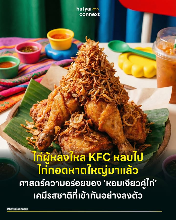 ไก่ผู้หลงใหล KFC หลบไป ไก่ทอดหาดใหญ่มาแล้ว ศาสตร์ความอร่อยของ ‘หอมเจียวคู่ไก่’ เคมีรสชาติที่เข้ากันอย่างลงตัว . ในขณะที่โลกโซเชียลกำลังร้อนระอุกับวาทกรรม 'ไก่ผู้หลงใหล KFC' ของคุณสรยุทธ์ สุทัศนะจินดา และดีเจอ๋องแอ๋ง ที่เปรียบเปรยถึงความสัมพันธ์อันย้อนแย้งของผู้จ่ายเงินสมทบ แต่หากเราถอดแว่นตาของดราม่าออกแล้วสวมแว่นตาของนักชิมมองลึกลงไปในวัฒนธรรมอาหารของเมืองหาดใหญ่ . เราจะพบความสัมพันธ์ของไก่อีกคู่หนึ่งที่ไม่ได้เป็นพิษเป็นภัย แต่กลับเป็นคู่แท้ทางรสชาติที่ขาดกันไม่ได้ นั่นคือความรักอันดูดดื่มระหว่าง 'ไก่ทอดหาดใหญ่' และ 'หอมเจียว' . #เคมีแห่งรสชาติที่ถูกออกแบบมาคู่กัน ในทางวิทยาศาสตร์การอาหาร (Food Science) การจับคู่ไก่ทอดกับหอมเจียวไม่ใช่เรื่องบังเอิญ แต่คือการใช้หลักการ Flavor Pairing หรือการจับคู่โมเลกุลรสชาติที่ส่งเสริมกันและกัน ไก่ทอดหาดใหญ่มีเอกลักษณ์ที่การหมักด้วยเครื่องเทศกลุ่ม Warm Spices อย่างลูกผักชี และยี่หร่า ซึ่งให้กลิ่นโทนดินและเครื่องเทศ . แต่สิ่งที่ยังขาดหายไปคือความหวานลึกและกลิ่นฉุนที่สดชื่นซึ่ง 'หอมแดง' เข้ามาเติมเต็มได้อย่างสมบูรณ์แบบ กระบวนการเจียวหอมแดงในน้ำมันร้อนทำให้เกิดปฏิกิริยา Maillard Reaction ร่วมกับ Caramelization เปลี่ยนน้ำตาลและกรดอะมิโนในหอมแดงให้กลายเป็นสารประกอบรสชาติใหม่ที่มีความซับซ้อน (Savory & Sweet) ซึ่งช่วยชูรสอูมามิของเนื้อไก่ให้โดดเด่นขึ้น สร้างสมดุลรสชาติที่ไม่เลี่ยนจนเกินไป . #เสียงกรอบที่กระตุ้นสมอง นอกจากรสชาติแล้วเนื้อสัมผัสคือหัวใจสำคัญตามหลักฟิสิกส์แห่งการกินความกรอบของหนังไก่และความนุ่มชุ่มฉ่ำของเนื้อใน ต้องการตัวเชื่อมที่จะทำให้การเคี้ยวมีมิติ หอมเจียวทำหน้าที่เป็น Textural Contrast หรือตัวตัดสัมผัสที่ยอดเยี่ยม . เสียง 'กรุบ' ของหอมเจียวที่แตกกระจายในปากทันทีที่กัด ทำหน้าที่เป็นการปรุงรสด้วยเสียงที่ส่งสัญญาณไปยังสมองว่าอาหารนี้สดใหม่และน่าตื่นเต้น ผสมผสานกับความเหนียวนุ่มของข้าวเหนียวร้อนๆ สร้างจังหวะการกินที่สนุกและต่อเนื่อง น้ำมันหอมเจียวที่ซึมลงไปในข้าวเหนียวยังทำหน้าที่เป็นตัวประสาน ให้กลิ่นหอมอบอวลอยู่ในโพรงจมูกนานขึ้น . #มากกว่าเครื่องเคียงคืออัตลักษณ์ หากไก่ผู้หลงใหล KFC คือผู้หลงผิด 'ไก่ที่หลงใหลหอมเจียว' ก็คือผู้ที่ค้นพบตัวตนที่แท้จริง ในเชิงวัฒนธรรมอาหารสิ่งที่แบ่งแยก 'ไก่ทอดหาดใหญ่'ออกจากไก่ทอดทั่วไปไม่ใช่แค่สูตรหมัก แต่คือการมีอยู่ของหอมเจียว . หากสั่งไก่ทอดแล้วได้ซอสนั่นคือไก่ทอดสามัญ แต่ถ้าคุณได้หอมเจียวพูนๆ โรยหน้า นั่นคือการประทับตราสิ่งบ่งชี้ทางภูมิศาสตร์ ฉบับชาวบ้านว่าคุณกำลังทานของแท้ หอมเจียวจึงไม่ใช่แค่หรือของประดับจาน เป็นจิตวิญญาณที่ทำให้ไก่ทอดหาดใหญ่เป็นตำนาน Gastronomy ของภาคใต้ที่ใครก็เลียนแบบได้ยาก . อ้างอิง - McGee, H. (2004). On Food and Cooking: The Science and Lore of the Kitchen. Scribner. - Segnit, N. (2010). The Flavor Thesaurus: A Compendium of Pairings, Recipes and Ideas for the Creative Cook. Bloomsbury - Spence, C. (2017). Gastrophysics: The New Science of Eating. Viking __ #HatyaiConnext #ไก่ทอดหาดใหญ่ #หอมเจียว #Gastronomy #FoodScience #FlavorPairing #Gastrophysics #ของกินหาดใหญ่hatyaiconnext