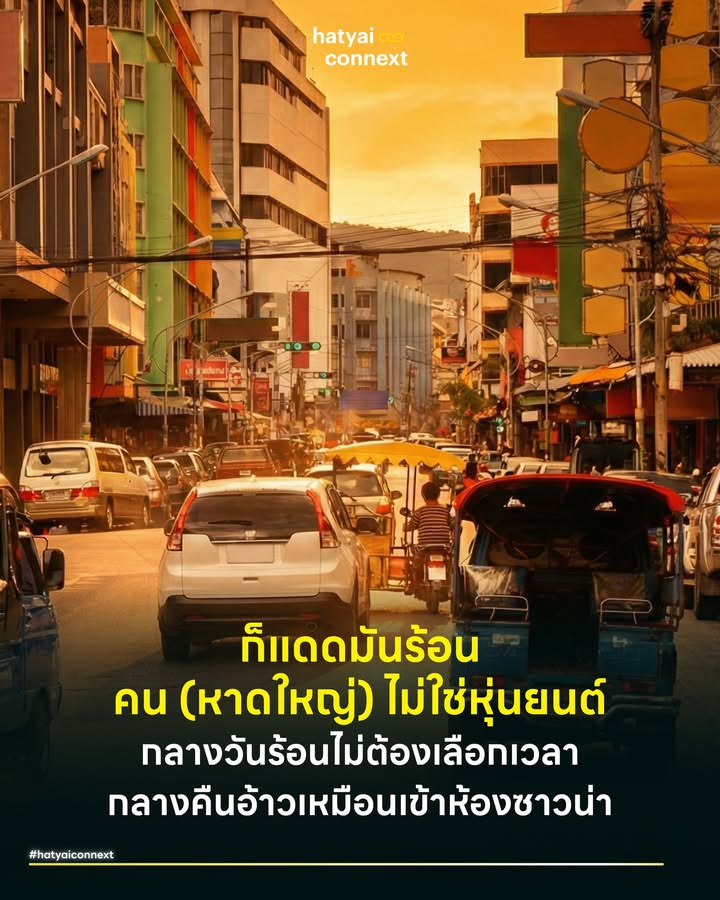 ก็แดดมันร้อน... คน (หาดใหญ่) ไม่ใช่หุ่นยนต์ กลางวันร้อนไม่ต้องเลือกเวลา กลางคืนอ้าวเหมือนเข้าห้องซาวน่า . ช่วงนี้เดินไปไหนก็ได้ยินแต่เพลงนี้ลอยเข้ามาในหัว สำหรับคนหาดใหญ่มันไม่ใช่แค่เนื้อเพลง มันคือชีวิตจริงที่เริ่มรู้สึด เพราะเรากำลังเผชิญกับสภาวะคูณสองคือกลางวันแดดเปรี้ยงจนร่างแทบสุก พอตกกลางคืนนึกว่าจะได้พักผ่อนตากลมเย็นๆ กลับเจอสภาพเมืองตัวรุ่มที่อบอ้าวเหมือนอยู่ในห้องซาวน่า ทั้งที่พระอาทิตย์ตกไปตั้งนานแล้ว... มันเกิดอะไรขึ้นกับเมืองของเรา? . #UrbanHeatIslandหรือหาดใหญ่ร้อนเพราะเมือง เคยสังเกตไหมว่า เวลาเรายืนอยู่กลางเมืองจะรู้สึกร้อนอบอ้าวกว่าตอนยืนอยู่แถวชานเมืองอย่างควนลังหรือน้ำน้อย? นี่ไม่ใช่เรื่องอุปทานหมู่ มันคือสิ่งที่อธิบายปรากฏการณ์นี้ได้ว่า Urban Heat Island (เกาะความร้อนเมือง) สาเหตุเพราะใจกลางเมืองหาดใหญ่มีปริมาณตึกคอนกรีตหนาแน่นกว่าพื้นที่สีเขียวหลายเท่าตัว วัสดุอย่างปูนและยางมะตอยมีคุณสมบัติดูดซับความร้อนได้ดีเยี่ยม ต่างจากต้นไม้ที่ช่วยคายความชื้น ยิ่งเมืองเจริญ ตึกยิ่งเบียดเสียด ความร้อนจึงถูกขังไว้ตรงกลางเหมือนเรายืนอยู่บนเกาะภูเขาไฟ . #หลักฐานจากDataVisualizationหาดใหญ่ขาดปอดฟอกความร้อน ตัวเลขไม่เคยโกหกใคร จากชุดข้อมูล Data Visualization เรื่องพื้นที่สีเขียวที่จัดทำโดย Hatyai Connext ร่วมกับ mapmap เมื่อปีที่ผ่านมาได้กางแผนที่ตีแผ่ความจริงที่น่ากังวล โดยระบุว่าเทศบาลนครหาดใหญ่มีพื้นที่สีเขียวสาธารณะเพียง 34 แห่ง คิดเป็นสัดส่วนพื้นที่เพียง 1.8% ของขนาดเมืองเท่านั้น และเมื่อหารเฉลี่ยแล้ว ชาวหาดใหญ่มีพื้นที่สีเขียวเพียง 2.6 ตร.ม./คน ซึ่งต่ำกว่าเกณฑ์มาตรฐานโลกที่องค์การอนามัยโลก (WHO) แนะนำไว้ที่ 10 ตร.ม./คน ถึงเกือบ 4 เท่า . ยิ่งไปกว่านั้น ข้อมูลจากแผนที่ความเร่งด่วนยังชี้ชัดว่าพื้นที่กว่า 35% ของเมือง อยู่ในเกณฑ์ค่อนข้างเร่งด่วนที่ต้องได้รับการพัฒนาพื้นที่สีเขียว โดยเฉพาะโซนใจกลางเมืองที่มีความหนาแน่นสูง ซึ่งสอดคล้องกับจุดที่เรารู้สึกร้อนที่สุด เป็นหลักฐานยืนยันว่าเรากำลังขาดแคลนปอดที่จะมาช่วยฟอกความร้อนออกจากเมืองอย่างรุนแรง . #กลางวันเตาอบที่ชาร์จพลังงานเต็มพิกัด ในตอนกลางวันหาดใหญ่อาจเปรียบให้เห็นภาพได้ว่าเสมือนเตาอบขนาดยักษ์ที่รับความร้อนจากสองทาง ทางแรกคือแดดที่แผดเผาลงมาตรงๆ ทางที่สองคือ Anthropogenic Heat หรือความร้อนที่มนุษย์สร้างขึ้น ทั้งไอเสียจากรถที่ติดและลมร้อนจากคอมเพรสเซอร์แอร์นับหมื่นตัวที่เป่าออกมาพร้อมกัน ผสมโรงกับคอนกรีตที่มีมวลความร้อนสูง มันจึงทำหน้าที่ดูดซับความร้อนเก็บไว้ทุกเม็ด ไม่ยอมสะท้อนกลับ นี่คือสาเหตุว่าทำไมกลางวันเราถึงรู้สึกร้อนเหมือนกำลังจะละลาย . #กลางคืนแบตเตอรี่ความร้อนที่คายประจุ จุดพีคอยู่ที่ตอนกลางคืน แทนที่อากาศจะเย็นลงตามธรรมชาติ ตึกที่อมความร้อนไว้ทั้งวันกลับทำหน้าที่เป็นแบตเตอรี่ที่เริ่มคายความร้อนออกมา ส่งผลให้เกิดปรากฏการณ์ Tropical Night คือภาวะที่อุณหภูมิตอนกลางคืนไม่ลดต่ำลง ผนังห้องนอนที่ดูดแดดมาทั้งวันเริ่มแผ่ไอร้อนใส ทำให้แม้จะมืดแล้ว แต่ความรู้สึกอบอ้าวยังคงอยู่ ลมไม่พัด และเครื่องปรับอากาศต้องทำงานหนักเป็นสองเท่า . #ทางออกคือPocketPark เมื่อเมืองร้อนเพราะปูนเยอะกว่าต้นไม้และข้อมูลจาก mapmap ยืนยันชัดเจนว่าเราขาดแคลนพื้นที่สีเขียว คำถามชวนคิดคือถึงเวลาหรือยังที่หาดใหญ่ต้องมองหาทางออกด้วย 'Pocket Park' สวนหย่อมขนาดจิ๋วที่แทรกตัวอยู่ตามมุมตึก ซอกซอย หรือพื้นที่รกร้างกลางเมือง? เพื่อทำหน้าที่เป็นเกาะความเย็น ช่วยดูดซับความร้อนและเพิ่มช่องลมให้เมืองหายใจได้สะดวกขึ้น เหมือนที่เมืองใหญ่ๆ ทั่วโลกเริ่มทำกัน หรือเราจะยอมทนจ่ายค่าไฟแลกกับแอร์เย็นๆ ต่อไปในระยะยาว? . อ้างอิง - Rizwan, A. M., Dennis, L. Y., & Liu, C. (2008). A review on the generation, determination and mitigation of Urban Heat Island. - Santamouris, M. (2014). Cooling the cities – A review of reflective and green roof mitigation technologies. - Hatyai Connext & mapmap. (2025). Situational Analysis of Public Green Space in Hat Yai Municipality __ #HatyaiConnext #CurioCity #mapmap #DataVisualization #ก็แดดมันร้อน #คนไม่ใช่หุ่นยนต์ #UrbanHeatIsland #TropicalNight #PocketPark #พื้นที่สีเขียวหาดใหญ่ #หาดใหญ่ #อากาศร้อนhatyaiconnext