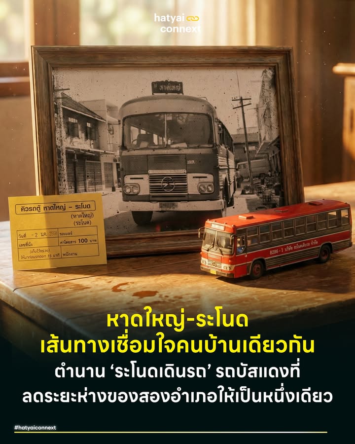 หาดใหญ่-ระโนด เส้นทางเชื่อมใจคนบ้านเดียวกัน ตำนาน ‘ระโนดเดินรถ’ รถบัสแดงที่ลดระยะห่างของสองอำเภอให้เป็นหนึ่งเดียว . หากพูดถึง 'ระโนด' สำหรับคนหาดใหญ่ เราอาจนึกถึงวันหยุดพักผ่อน ขับรถไปไหว้หลวงปู่ทวดที่วัดพะโคะ (สทิงพระ) โร้ดทริปดูวิวทะเลน้อย เที่ยวตลาดน้ำคลองแดน ไปชิมหนมลูกโหนด (ขนมตาล) และแวะดูทิวต้นตาลโตนดก่อนกลับ . หากย้อนเวลากลับไปก่อนที่ถนนสายเอเชียจะสะดวกสบายเหมือนปัจจุบัน การเดินทางระหว่างคาบสมุทรสทิงพระเข้าสู่เมืองท่าหาดใหญ่ไม่ใช่เรื่องง่าย และผู้ที่ทำหน้าที่เย็บรอยต่อของสองพื้นที่นี้ให้แนบสนิทคือตำนานบัสสีแดงที่ชื่อว่า 'บริษัทระโนดเดินรถ' . #จุดกำเนิดบนทางเกวียน เบื้องหลังล้อหมุนที่เชื่อมโยงคนสองเมืองเข้าด้วยกันคือชายผู้มีนามว่า 'บัญชา พานิชพงศ์' หรือที่คนในวงการรู้จักกันในชื่อเฮียชา (พ่อตาบิ๊กโจ๊ก) เดิมทีครอบครัวทำธุรกิจค้าไม้แปรรูป แต่จุดเปลี่ยนเกิดขึ้นเมื่อเฮียชาเดินทางไปที่ปากแตระและมองเห็นเค้าลางของถนนดินลูกรัง ในขณะที่คนอื่นเห็นเพียงอุปสรรคและความทุลักทุเล วิสัยทัศน์ของเฮียชากลับมองเห็นโอกาส เขาตัดสินใจนำรถ 4 ล้อเล็กเครื่องยนต์เบนซินสไตล์อเมริกันมาวิ่งรับส่งผู้คน ทั้งที่ถนนยังไม่เป็นรูปเป็นร่าง ถึงขั้นยอมควักกระเป๋าซื้อหน้าดินจากชาวบ้านมาถมทางเองเพื่อให้รถวิ่งได้ นี่คือปฐมบทของการเดินทางที่เปลี่ยนวิถีชีวิตชาวลุ่มน้ำไปตลอดกาล . #ความทรงจำสีจางรถคอกหมู เมื่อเส้นทางขยายตัวเชื่อมระโนดสู่สทิงพระ และมุ่งหน้าสู่เมืองสงขลา วิวัฒนาการของยานพาหนะก็กลายเป็นภาพจำสุดคลาสสิก จากรถเครื่องเบนซินกินน้ำมัน เข้าสู่ยุคของ 'รถคอกหมู' หรือรถอีซูซุหน้ายาว ที่ตัวถังทำจากไม้ฝางวางเรียงเป็นชั้นๆ ความทุลักทุเลคือมนต์เสน่ห์ของการเดินทางยุคนั้น ภาพเด็กรถวิ่งหาทางมะพร้าวมารองล้อเมื่อรถติดหล่ม ภาพผู้โดยสารลงมาช่วยเข็นรถเปื้อนโคลน หรือการนั่งเบียดเสียดกับกรงหมูและเข่งไก่บนหลังคา ล้วนเป็นภาพสะท้อนว่า การเดินทางเข้าสู่หาดใหญ่ในสมัยนั้นคือภารกิจที่ต้องร่วมแรงร่วมใจกันอย่างแท้จริง . #เส้นทางเชื่อมเมืองเชื่อมใจ มากกว่าแค่การขนส่งผู้โดยสาร รถแดงสายระโนด-หาดใหญ่ เปรียบเสมือนเส้นเลือดใหญ่ที่หล่อเลี้ยงเศรษฐกิจและสังคมของสงขลาให้เป็นเนื้อเดียวกัน ในยุคที่การคมนาคมยังจำกัด รถบัสสายนี้ทำหน้าที่ขนถ่ายทรัพยากรแห่งคาบสมุทร ไม่ว่าจะเป็น ข้าว ตาลโตนด หรือหมูจากฟาร์มในระโนด มุ่งหน้าสู่ตลาดสดหาดใหญ่เพื่อหล่อเลี้ยงปากท้องคนเมือง . ในทางกลับกัน มันก็นำพาความหวังของลูกหลานชาวเลจากสทิงพระและระโนด ให้เดินทางเข้ามาศึกษาวิชาในโรงเรียนชื่อดังในหาดใหญ่หรือนำพาผู้ป่วยมารักษาตัวที่โรงพยาบาลศูนย์ฯ . รถบัสแดงจึงเป็นมากกว่าแค่ยานพาหนะ เป็นทั้งพื้นที่ทางสังคมที่คนหาดใหญ่และคนระโนดได้มาเจอกันทั้ง หมอ ตัวแทนชาวบ้าน แม่ค้า นักเรียน ข้าราชการ และเกษตรกร ต่างใช้เวลาร่วมกันบนรถคันนี้ แลกเปลี่ยนบทสนทนาและวัฒนธรรม จนทำให้ระยะทางกว่า 90 กิโลเมตร ระหว่าง 'เมืองเกษตร' และ 'เมืองเศรษฐกิจ' ถูกย่อลงจนเหลือเพียงคำว่า 'คนบ้านเรา' อย่างแท้จริง . #ตำนานแพขนานยนต์ อีกหนึ่งไฮไลต์สำคัญก่อนที่สะพานติณสูลานนท์จะทอดตัวเชื่อมแผ่นดินคือการเดินทางข้ามฝั่งด้วยแพขนานยนต์ที่หัวเขาแดง ซึ่งมักเกิดปรากฏการณ์ 'คอขวด' รถบัสสีแดงต้องจอดต่อคิวยาวเหยียดรอลงแพนานนับชั่วโมง วิกฤตการรอนี้เองที่สร้างโอกาสทางเศรษฐกิจและวัฒนธรรมการกินอันเป็นเอกลักษณ์ พ่อค้าแม่ค้าหาบเร่จะนำของกินมาขาย ทั้งไข่นกกระทาต้ม ขนมดู และที่ขาดไม่ได้คือ 'ข้าวเหนียวไก่ทอด' ซึ่งว่ากันว่าความนิยมกินเหนียวไก่ของคนในพื้นที่ อาจมีจุดเริ่มต้นมาจากความหิวโหยระหว่างรอรถลงแพนี่เอง ผสมโรงกับความบันเทิงจากโชเฟอร์ที่ดับเครื่องโชว์ลีลาขายยาแก้ริดสีดวงทวาร กลายเป็นมหรสพริมทางที่หาดูไม่ได้อีกแล้วในปัจจุบัน . #เฮียชาฟลอริดานักสู้วิกฤตผู้ไม่เคยยอมแพ้ ฉายา 'เฮียชา ฟลอริดา' (ที่ได้มาจากการชอบไปพักโรงแรมฟลอริดา แหล่งรวมพลโก๋หลังวังในกรุงเทพฯ) สะท้อนให้เห็นถึงตัวตนที่เป็นคนหัวสมัยใหม่และกล้าตัดสินใจ ในช่วงวิกฤตราคาน้ำมันพุ่งสูงจนธุรกิจเดินรถแทบไปต่อไม่ไหว เฮียชาตัดสินใจเดิมพันครั้งใหญ่ด้วยการทุ่มงบกว่า 40 ล้านสร้างปั๊มก๊าซ NGV ของตัวเองเป็นเจ้าแรกๆ ในสงขลา เพื่อพยุงให้กองทัพรถเมล์แดงยังคงวิ่งให้บริการพี่น้องประชาชนต่อไปได้ ในขณะที่ผู้ประกอบการรายอื่นล้มหายตายจาก นี่คือจิตวิญญาณของนักสู้ที่ไม่ยอมให้เส้นเลือดใหญ่ของการคมนาคมสายนี้ต้องหยุดชะงัก . #จากคิวรถสู่แลนด์มาร์คการเปลี่ยนผ่านที่งดงาม แม้ในวันนี้ รูปแบบการเดินทางจะเปลี่ยนไปตามกาลเวลา จากรถเมล์แดงคันใหญ่ ปรับสู่รถตู้ รถบัสเล็ก และรถส่วนตัว แต่ทายาทรุ่นหลังยังคงสานต่อเจตนารมณ์ด้วยการปรับเปลี่ยนพื้นที่คิวรถระโนดเดิม ให้กลายเป็นหมุดหมายใหม่ทางไลฟ์สไตล์ ด้วยการดึงแบรนด์ร้านกาแฟอย่าง Amazon Café มาผสมผสานกับกลิ่นอายประวัติศาสตร์ จัดแสดงเป็นพิพิธภัณฑ์ความทรงจำที่รวบรวมเรื่องราวในอดีตไว้ให้คนรุ่นลูกหลานได้สัมผัส . เรื่องราวของระโนดเดินรถคือหลักฐานทางประวัติศาสตร์ที่ยืนยันว่า หาดใหญ่-ระโนด ก็คือคนสงขลาบ้านเดียวกัน เชื่อมโยงกันด้วยการเดินทาง การค้าและวิถีชีวิตมาอย่างยาวนาน แม้ยานพาหนะจะเปลี่ยนหน้าตาไป แต่ความผูกพันที่เฮียชาได้บุกเบิกไว้จะยังคงวิ่งวนอยู่บนเส้นทางสายเดิมเสมอ . อ้างอิงข้อมูล - วิดีโอบันทึกร์ประวัติบริษัทระโนดเดินรถ โดย คุณบัญชา พานิชพงศ์ (2565) Brotheridea __ #HatyaiConnext #HatyaiYesterday #หาดใหญ่ #ระโนด #ระโนดเดินรถ #เฮียชาฟลอริดา #สงขลา #คาบสมุทรสทิงพระhatyaiconnext