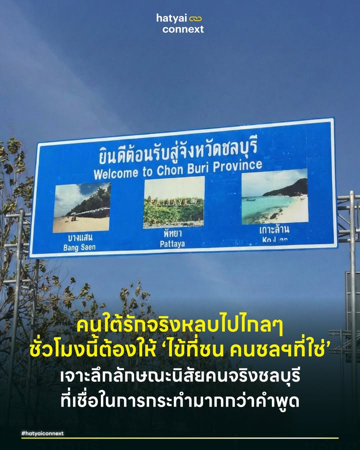 คนใต้รักจริงหลบไปไกลๆ ชั่วโมงนี้ต้องให้ ‘ไข้ที่ชน คนชลฯที่ใช่’ เจาะลึกลักษณะนิสัยคนจริงชลบุรี ที่เชื่อในการกระทำมากกว่าคำพูด . ปรากฏการณ์เลือกตั้ง 69 และการรวมตัวเพื่อกดดันให้มีการนับคะแนนใหม่ในจังหวัดชลบุรี ได้พิสูจน์แล้วว่า 'คนชลบุรี' คือคนที่น่าจับตามองที่สุดในนาทีนี้และ 'เอาจริง' ยิ่งกว่าใครในประเทศ . อะไรทำให้เมืองที่เคยขึ้นชื่อเรื่อง 'เจ้าพ่อ' และ 'ระบบบ้านใหญ่' กลายเป็นพื้นที่ที่ภาคประชาชนตื่นตัว ลุกขึ้นมาท้าทายอำนาจรัฐและกัดไม่ปล่อยมากที่สุด? ไปสำรวจลักษณะนิสัยคนจริงเมืองชลฯ ที่ผสมผสานระหว่างความใจนักเลงและความเป็นพลเมืองโลกเข้าด้วยกัน . #ภูมิศาสตร์คนน้ำเค็มกับใจนักเลง ในทางภูมิศาสตร์สังคมพื้นที่ชายฝั่งทะเลมักหล่อหลอมผู้คนให้มีนิสัย ใจถึง พึ่งได้ และไม่กลัวคลื่นลม ชลบุรีคือเมืองชายทะเลที่มีประวัติศาสตร์ของกลุ่มอิทธิพลหรือที่เรียกกันว่า ‘เจ้าพ่อ’ มาอย่างยาวนาน . คำว่านักเลงใน DNA คนชลบุรี ไม่ได้หมายถึงอันธพาล มันคือสิ่งที่หมายถึง ‘ความกล้าได้กล้าเสีย’ และ ‘การรักพวกพ้อง’ เมื่อถูกพัฒนามาสู่ยุคประชาธิปไตย นิสัยนี้จึงกลายเป็นการปกป้องสิทธิของพวกพ้องอย่างดุเดือด หากพวกเขารู้สึกว่ากำลังถูกอำนาจรัฐรังแกหรือโกง ความเป็นนักเลงเก่าจะสั่งให้พวกเขาลุกขึ้นสู้ทันทีโดยไม่สนหน้าอินทร์หน้าพรหม . #ชนชั้นแรงงานสร้างสรรค์ผู้จ่ายภาษีหนัก โครงสร้างประชากรของชลบุรีต่างจากที่อื่นเพราะนี่คือศูนย์กลางของ EEC (Eastern Economic Corridor) ประชากรส่วนใหญ่คือ ชนชั้นกลางใหม่ และแรงงานทักษะสูงในนิคมอุตสาหกรรม . คนกลุ่มนี้คือคนที่ทำงานหนัก แลกมาด้วยหยาดเหงื่อและที่สำคัญคือจ่ายภาษีเต็มเม็ดเต็มหน่วย เมื่อคนมีสถานะทางเศรษฐกิจดีขึ้นและมีการศึกษาสูงขึ้น พวกเขาจะมีความอดทนต่อการทุจริตน้อยลง ดังนั้นการที่คะแนนเสียงของเขาถูกบิดเบือนหรือการนับคะแนนมีพิรุธ จึงไม่ได้เป็นแค่เรื่องทางการเมืองแต่เป็นเรื่องของ 'การถูกเอาเปรียบ' ซึ่งคนชลบุรีที่ทำงานหนักรับไม่ได้ . #ความตรงไปตรงมาและกัดไม่ปล่อย ด้วยสภาพอากาศแบบร้อนชื้นชายฝั่งผสมกับความเป็นเมืองที่รถติดและการแข่งขันสูง ทำให้จังหวะชีวิตของคนชลบุรีมีความ รวดเร็ว ร้อนแรง และตรงไปตรงมา . คนชลบุรีเน้นการกระทำที่จุดเกิดเหตุ ชอบคือชอบ เกลียดคือด่า ผิดคือต้องแก้เดี๋ยวนี้ เราจึงได้เห็นภาพการรวมตัวหน้าหน่วยเลือกตั้งแบบข้ามวันข้ามคืน การไลฟ์สดจับตาหีบบัตรแบบไม่หลับไม่นอน นี่ไม่ใช่แค่การประท้วงตามอารมณ์ เป็นการต่อสู้ด้วย 'ข้อมูลและหลักฐาน' ผสานกับความใจสู้แบบคนน้ำเค็ม ที่ถ้าไม่ได้คำตอบที่ชัดเจนก็อย่าหวังว่าพวกเขาจะถอย . #จิตวิญญาณเถ้าแก่ที่เกลียดการโกงตาชั่ง ปัจจัยที่แท้จริงที่ทำให้คนชลบุรีต่างจากที่อื่นคือความเป็นนักค้าขายและนักแสวงหาโอกาสที่สืบทอดกันมาในเมืองท่าชายทะเล คนชลบุรีดั้งเดิมเติบโตมากับการค้าขาย การทำธุรกิจ ทำให้มีนิสัยให้ความสำคัญกับผลประโยชน์ที่ยุติธรรมเปรียบเหมือนเถ้าแก่ที่ยอมไม่ได้ ถ้าใครมาโกงตาชั่งหรือทอนเงินไม่ครบ . เมื่อมองการเลือกตั้งผ่านแว่นตานี้ การที่คะแนนเขย่งหรือตัวเลขไม่ตรง ไม่ใช่แค่ความผิดพลาดทางเทคนิค มันคือการถูกโกงสัญญาสำหรับคนที่มีหัวการค้า ความไม่ซื่อสัตย์ทางตัวเลขคือเรื่องจริงจังขั้สุด พวกเขาไม่ได้ออกมาเรียกร้องด้วยอุดมการณ์ลอยๆ แบบนักฝัน วิธีการเรียกร้องของเขาจึงถ่ายทอดผ่านตรรกะของคนทำมาหากินที่ว่า "จ่ายไปเท่าไหร่ (ลงคะแนน) ต้องได้ของกลับมาเท่านั้น (ผลลัพธ์)" ใครจะมามั่วบัญชีกับคนชลบุรีบอกเลยว่าคิดผิด . #คนชลคนจริง ปรากฏการณ์ที่ชลบุรีบอกเราว่า ระบบอุปถัมภ์แบบเดิมที่เคยครอบงำพื้นที่นี้ กำลังถูกท้าทายอย่างรุนแรงด้วยพลังของพลเมืองที่ไม่ยอมให้ใครมากำหนดชะตาชีวิตแทน คนชลบุรีโกรธแล้วจะแสดงออกด้วยการ 'จี้ให้ถึงที่สุด' ณ จุดเกิดเหตุ จนกว่าความจริงจะปรากฏ และนี่คือมาตรฐานใหม่ของคำว่า 'คนจริง' ในสนามการเลือกตั้งครั้งนี้ __ #HatyaiConnext #เลือกตั้ง69 #คนชลบุรี #นับคะแนนใหม่ #ActiveCitizen #การเมืองไทย #EEC #ประชาธิปไตยhatyaiconnext