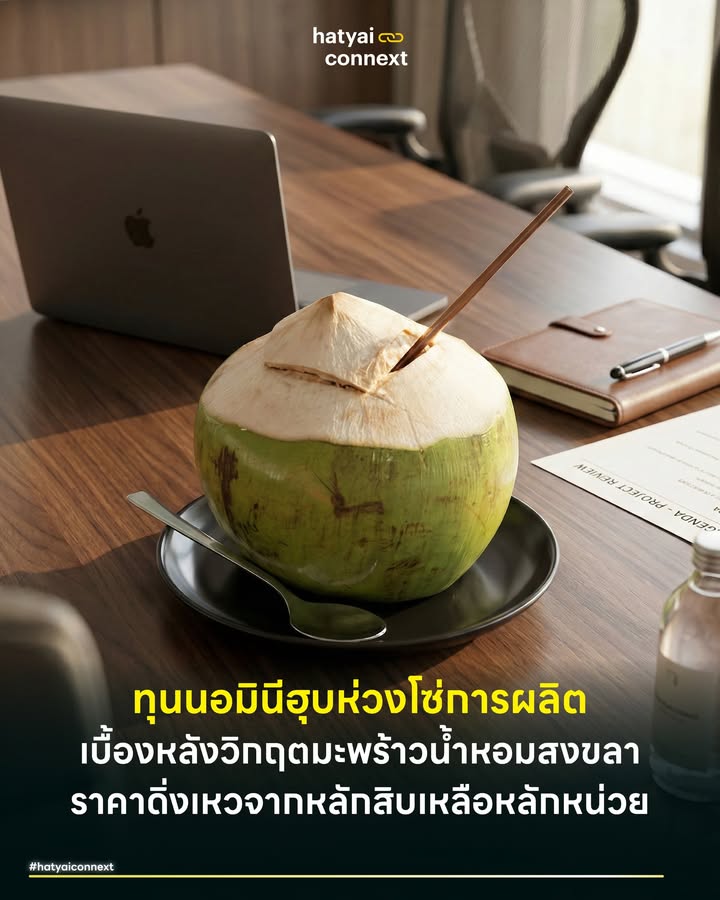 ทุนนอมินีฮุบห่วงโซ่การผลิต เบื้องหลังวิกฤตมะพร้าวน้ำหอมสงขลาราคาดิ่งเหวจากหลักสิบเหลือหลักหน่วย . ราคา 'มะพร้าวน้ำหอม' ในพื้นที่คาบสมุทรสทิงพระดิ่งลงเหลือเพียง 2 ถึง 3 บาทต่อผลจากเดิมที่เคยสูงถึง 12 บาท ปรากฏการณ์นี้ก้าวข้ามขอบเขตของความผันผวนตามฤดูกาล โครงสร้างตลาดยุคใหม่ถูกแทรกแซงด้วยกลุ่มทุนต่างชาติที่เข้ามากลืนกินระบบนิเวศการเกษตรของไทย เกษตรกรรายย่อยในจังหวัดสงขลาต้องแบกรับสภาวะขาดทุนอย่างหนักจนถึงขั้นต้องปล่อยทิ้งสวน . #ทุนผูกขาดและการกลืนกินอุปทาน พฤติกรรมของโรงงานแปรรูปรายใหญ่สามารถอธิบายได้ด้วยทฤษฎี การรวมตัวแนวดิ่ง (Vertical Integration) กลุ่มนายทุนต่างชาติใช้ยุทธวิธีเปลี่ยนสถานะจาก 'ผู้รับซื้อ' กลายมาเป็น 'ผู้ผลิต' อย่างเต็มตัว การกว้านเช่าที่ดินและตั้งนอมินีครอบครองแปลงเกษตรขนาดใหญ่ส่งผลให้ทุนข้ามชาติสามารถควบคุมต้นทุนและปริมาณผลผลิตได้เบ็ดเสร็จ ผู้ประกอบการเหล่านี้จึงยุติการรับซื้อจากล้งและเกษตรกรท้องถิ่น กลไกนี้สร้างภาวะอุปทานส่วนเกินจนผลผลิตค้างคาต้นส่งผลให้ราคาตลาดพังทลายลงในที่สุด . #อำนาจเหนือตลาดและสภาวะเปราะบาง โครงสร้างตลาดมะพร้าวน้ำหอมกำลังเผชิญสภาวะตลาดผู้ซื้อน้อยราย อำนาจการต่อรองทั้งหมดถูกรวบตึงไปอยู่ในมือของกลุ่มทุนแปรรูปเพื่อส่งออก เมื่อผู้รับซื้อรายใหญ่ปฏิเสธผลผลิตจากชุมชน เกษตรกรรายย่อยที่ขาดศักยภาพในการแปรรูปจึงถูกตัดขาดจากกลไกตลาดสากลอย่างสิ้นเชิง สิ่งนี้ตอกย้ำความเปราะบางของเศรษฐกิจฐานรากที่พึ่งพิงรายได้จากสินค้าเกษตรเพียงมิติเดียว การปล่อยให้ทุนต่างชาติครอบงำโครงสร้างการผลิตผ่านช่องโหว่ทางกฎหมายกำลังทำลายขีดความสามารถทางการแข่งขันของเกษตรกรชาวสงขลาอย่างรุนแรง . #นโยบายแทรกแซงเพื่อปกป้องฐานราก การแก้ไขปัญหานี้ต้องอาศัยการแทรกแซงของรัฐเพื่อจัดระเบียบโครงสร้างตลาดเสียใหม่ ภาครัฐจำเป็นต้องยกระดับวิกฤตนี้เป็นวาระแห่งชาติพร้อมออกมาตรการตรวจสอบเส้นทางการเงินและการถือครองที่ดินนอมินีอย่างเข้มงวด การสนับสนุนให้กลุ่มเกษตรกรท้องถิ่นรวมตัวกันสร้างโรงงานแปรรูปขนาดย่อมของชุมชนจะช่วยลดการพึ่งพิงกลุ่มทุนผูกขาด การสร้างมูลค่าเพิ่มให้กับผลผลิตและขยายช่องทางการจัดจำหน่ายภายในประเทศคือเกราะป้องกันสำคัญที่จะช่วยพยุงระบบนิเวศของพืชเศรษฐกิจไทยให้รอดพ้นจากการล่มสลาย . อ้างอิง - ข่าวสด (2569) เกษตรกรสงขลาโวยมะพร้าวน้ำหอมราคาดิ่งลงเหว - Krugman P R & Obstfeld M (2009) International Economics Theory and Policy __ #HatyaiConnext #มะพร้าวน้ำหอมสงขลา #วิกฤตสินค้าเกษตร #ทุนต่างชาติผูกขาด #เศรษฐกิจท้องถิ่น #คาบสมุทรสทิงพระ #สงขลาhatyaiconnext