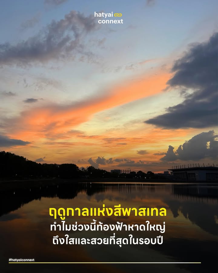 ฤดูกาลแห่งสีพาสเทล ทำไมช่วงนี้ท้องฟ้าหาดใหญ่ถึงใสและสวยที่สุดในรอบปี . ช่วงนี้หากใครเงยหน้ามองท้องฟ้าเหนือเมืองหาดใหญ่ คงจะสังเกตเห็นความเปลี่ยนแปลงที่น่าหลงใหล สีฟ้าที่ดูสดใสและลึกซึ้งในตอนกลางวัน ควบคู่ไปกับเฉดสีส้มอมชมพูหรือ 'วานิลลาสกาย' ในยามเย็น ปรากฏการณ์นี้ได้กลายเป็นจุดสนใจที่ทำให้ชาวเมืองหลายคนหยิบสมาร์ทโฟนขึ้นมาบันทึกภาพความประทับใจ ความงดงามที่เกิดขึ้นนี้มีคำอธิบายทางวิทยาศาสตร์และอุตุนิยมวิทยาซ่อนอยู่ . น่านฟ้าที่ถูกแต่งแต้มด้วยสีสันจัดจ้านในช่วงปลายเดือนมีนาคมเข้าสู่เดือนเมษายน ถือเป็นช่วงเวลาที่ท้องฟ้าของภาคใต้ตอนล่างมีความงดงามโดดเด่นที่สุดในรอบปี ปรากฏการณ์นี้เกิดจากการผสมผสานกันอย่างลงตัวของมุมตกกระทบจากแสงอาทิตย์ ความชื้นในอากาศ และทิศทางลมประจำถิ่น พาไปเจาะลึกกลไกทางธรรมชาติที่เปลี่ยนท้องฟ้าเหนือเมืองใหญ่ให้กลายเป็นภาพวาดสีสันสวยงามสุดอลังการ . #ความลับของการกระเจิงแสงและการโคจรของโลก ปัจจัยสำคัญที่ทำให้ท้องฟ้ามีความสวยงามเป็นพิเศษมาจากปรากฏการณ์ทางแสงที่เรียกว่า Rayleigh Scattering ประกอบกับช่วงเวลานี้เพิ่งผ่านวันที่ 20 มีนาคมมาไม่กี่วัน ซึ่งเป็นวันวสันตวิษุวัต เป็นจังหวะที่แกนโลกเริ่มเอียงเข้าหาดวงอาทิตย์ มุมตกกระทบของแสงที่ส่องผ่านชั้นบรรยากาศจึงมีความพอดีอย่างยิ่ง ส่งผลให้แสงสีฟ้าที่มีความยาวคลื่นสั้นกระเจิงออกไปได้ทั่วถึง ท้องฟ้าในเวลากลางวันจึงดูเป็นสีฟ้าครามสว่างใส ควบคู่ไปกับช่วงพระอาทิตย์ตกที่แสงต้องเดินทางผ่านชั้นบรรยากาศหนาขึ้น แสงสีแดงและส้มที่มีความยาวคลื่นยาวกว่าจึงสามารถทะลุผ่านมาได้ ปรากฏให้เห็นเป็นสีสันฉูดฉาดราวกับจิตรกรมาสะบัดพู่กัน . #อากาศแห้งและมิติของมวลเมฆฤดูร้อน สภาพอากาศที่ร้อนและแห้งในช่วงนี้มีส่วนช่วยลดปริมาณความชื้นและเมฆฝนระดับต่ำที่มักจะบดบังทัศนียภาพ ท้องฟ้าจึงเปิดโล่งมากกว่าฤดูกาลอื่น มวลอากาศร้อนที่ลอยตัวสูงขึ้นได้หอบเอาไอน้ำไปก่อตัวเป็นเมฆชั้นกลางและชั้นสูงอย่างเมฆคิวมูลัสและอัลโตคิวมูลัสที่เกาะกลุ่มกันเป็นริ้วคลื่นหรือก้อนปุยฝ้ายสีขาวสะอาดตา แสงอาทิตย์ยามเย็นที่สาดส่องกระทบฐานเมฆเหล่านี้ก่อให้เกิดมิติของแสงและเงาที่สลับซับซ้อน สร้างปรากฏการณ์ที่เรียกกันติดปากว่าฟ้าระเบิดให้เราได้เห็นกันบ่อยครั้ง . #ลมทะเลและคุณภาพอากาศที่เอื้ออำนวย อิทธิพลของลมตะวันออกเฉียงใต้และลมใต้ที่พัดนำความบริสุทธิ์จากอ่าวไทยเข้ามาอย่างต่อเนื่อง ถือเป็นตัวช่วยสำคัญที่พัดพาฝุ่นละอองและมลพิษที่สะสมอยู่ในตัวเมืองออกไป ชั้นบรรยากาศเหนือเมืองหาดใหญ่จึงมีความใสสะอาดมากพอที่จะเปิดทางให้แสงธรรมชาติทำงานได้อย่างเต็มประสิทธิภาพ ความใสของอากาศนี้เองที่เป็นตัวเร่งปฏิกิริยาให้สีสันของท้องฟ้ามีความอิ่มตัวจัดจ้าน สร้างความแตกต่างจากช่วงเวลาที่เมืองถูกปกคลุมด้วยความกดอากาศสูงในฤดูหนาว . #พื้นที่ฟื้นฟูจิตใจกลางป่าคอนกรีต ความงามของท้องฟ้ามอบผลลัพธ์เชิงบวกต่อมิติทางจิตวิทยาของคนเมืองควบคู่ไปกับคำอธิบายทางวิทยาศาสตร์ การได้ทอดสายตามองสีสันที่เปลี่ยนไปตามช่วงเวลา ถือเป็นธรรมชาติบำบัดชั้นดีที่ช่วยลดทอนความเหนื่อยล้าจากการใช้ชีวิตเร่งรีบ ท่ามกลางความวุ่นวายและตึกสูงที่เรียงรายในเมือง ท้องฟ้ากว้างใหญ่ผืนนี้กลายเป็นพื้นที่พักสายตาและฟื้นฟูสุขภาวะทางใจที่เปิดกว้างสำหรับทุกคนแบบไร้ต้นทุน . อ้างอิง - กรมอุตุนิยมวิทยา (2568) การกระเจิงของแสงและปรากฏการณ์ทางแสงในชั้นบรรยากาศ - สถาบันวิจัยดาราศาสตร์แห่งชาติ (2568) วันวสันตวิษุวัตและอิทธิพลต่อแสงอาทิตย์ __ #HatyaiConnext #ท้องฟ้าหาดใหญ่ #วานิลลาสกาย #ฟ้าระเบิด #วิทยาศาสตร์ #RayleighScattering #หาดใหญ่hatyaiconnext